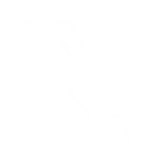icône téléphone